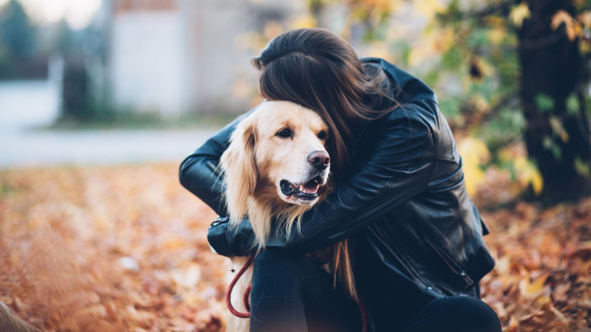 a person hugging a dog