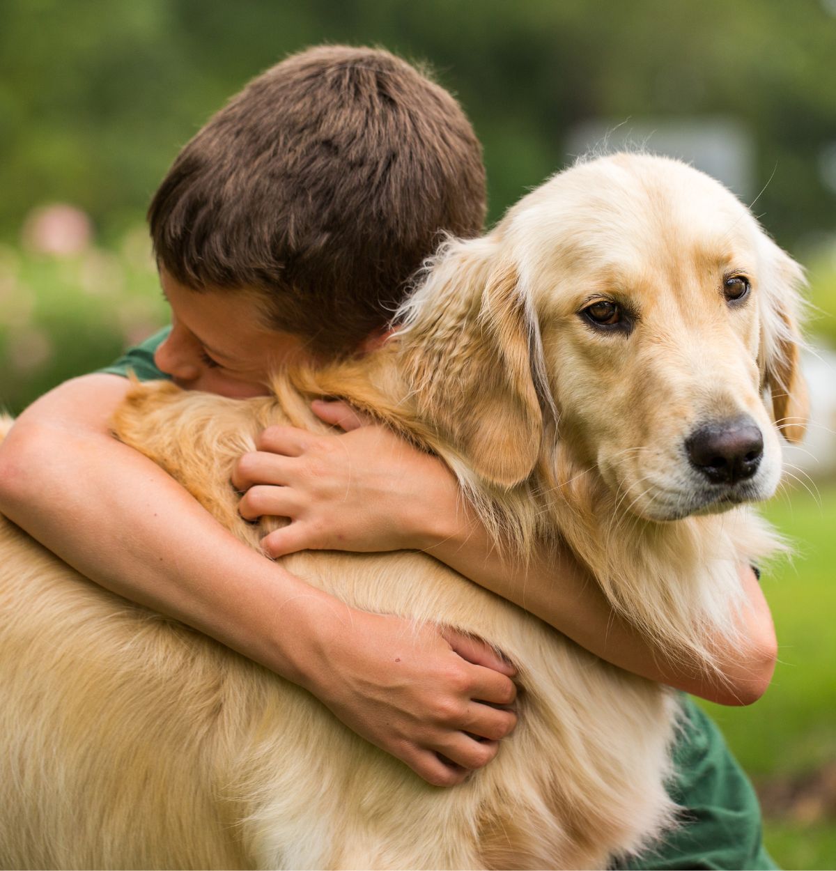 a child hugging a dog